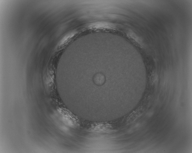 X0000078840824200611131146