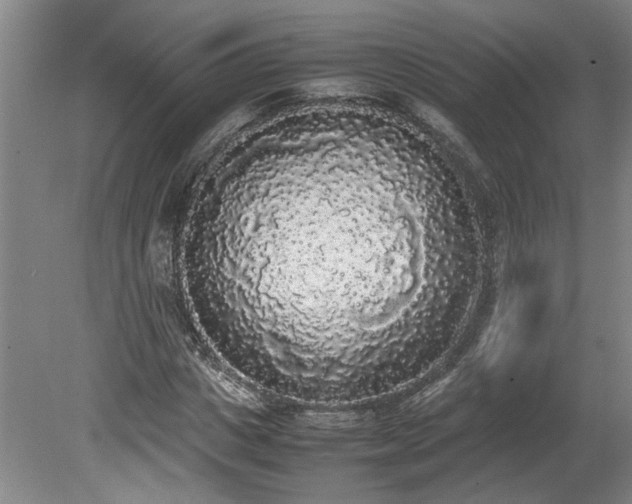 X0000078840825200611131146