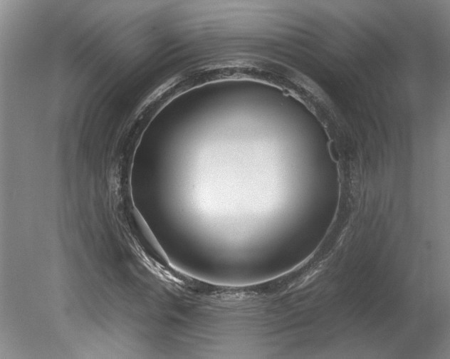 X0000078840826200611131146