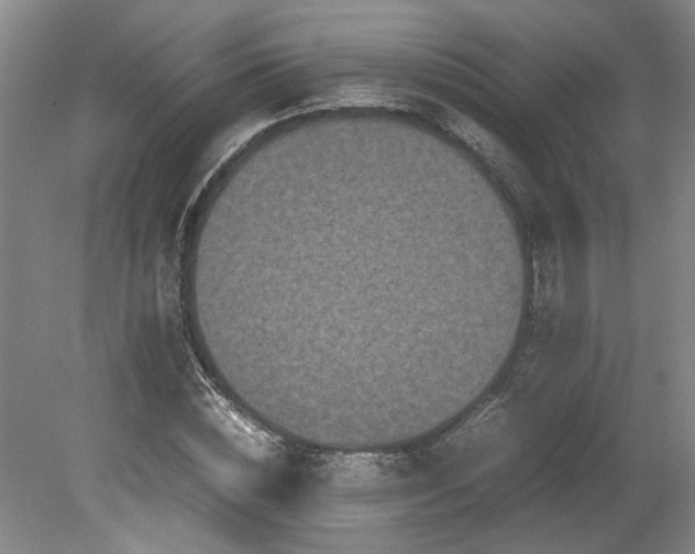 X0000078840828200611131146