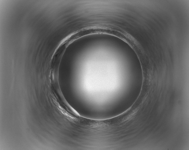 X0000078840830200611131146