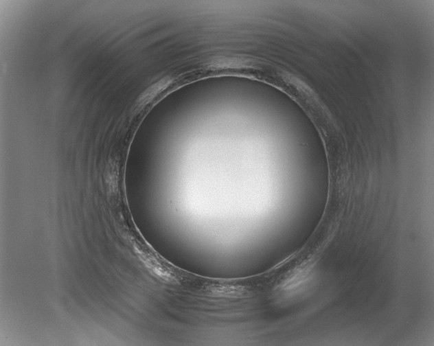 X0000078840833200611131146