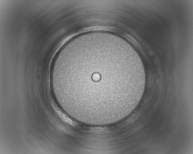 X0000078840836200611131146