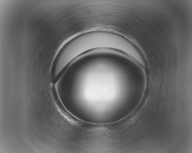 X0000078840838200611131146