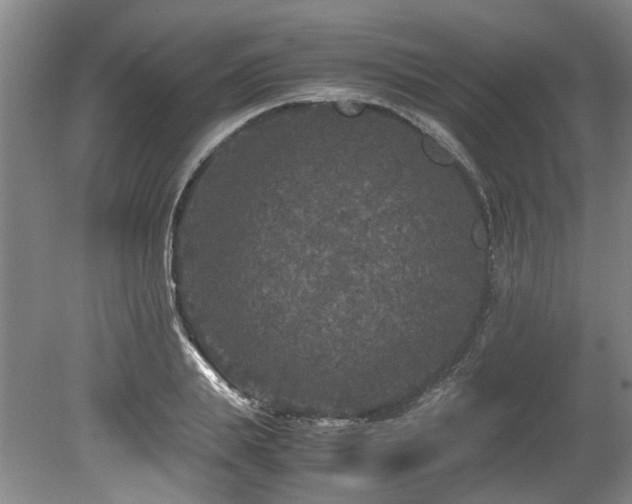 X0000078840839200611131146