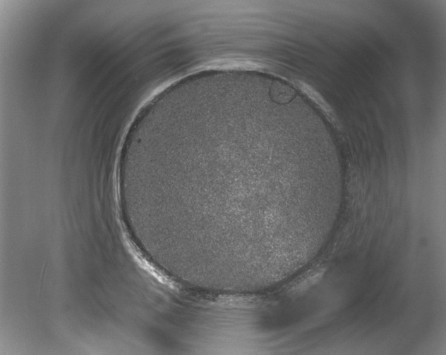 X0000078840840200611131146