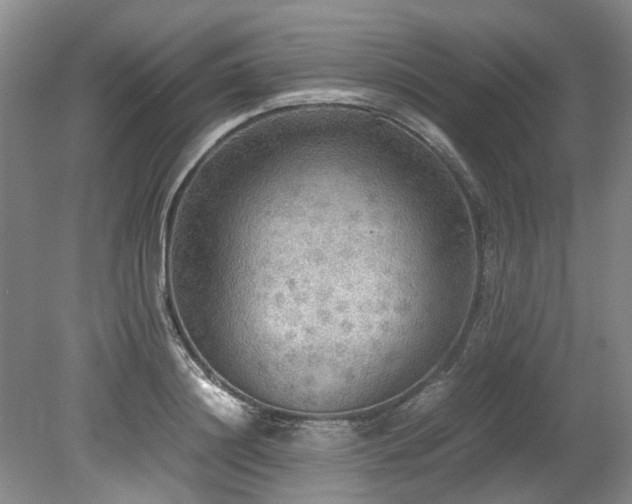 X0000078840844200611131147