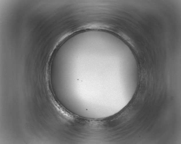 X0000078840848200611131147