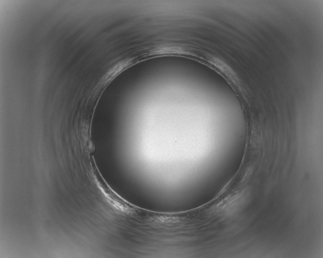 X0000078840849200611131147