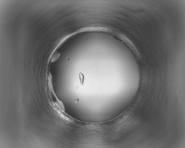 X0000078840852200611131147