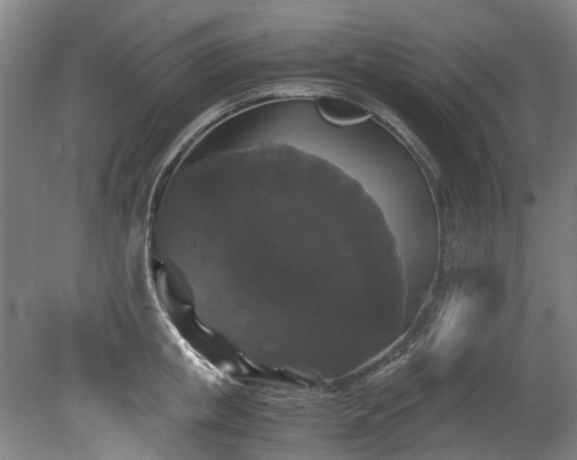 X0000078840853200611131147