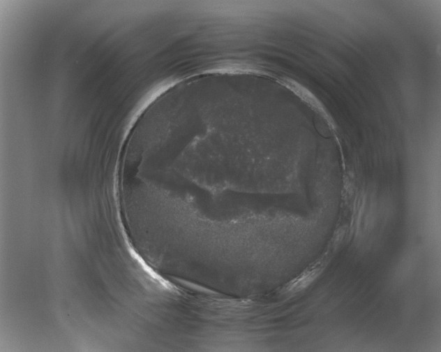 X0000078840855200611131147