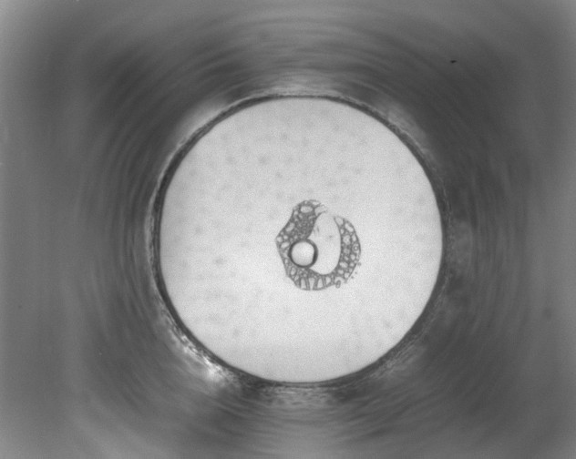 X0000078840856200611131147