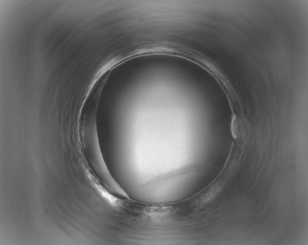 X0000078840858200611131147