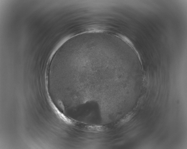 X0000078840859200611131147