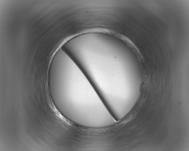 X0000078840860200611131147