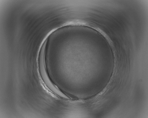 X0000078840864200611131147