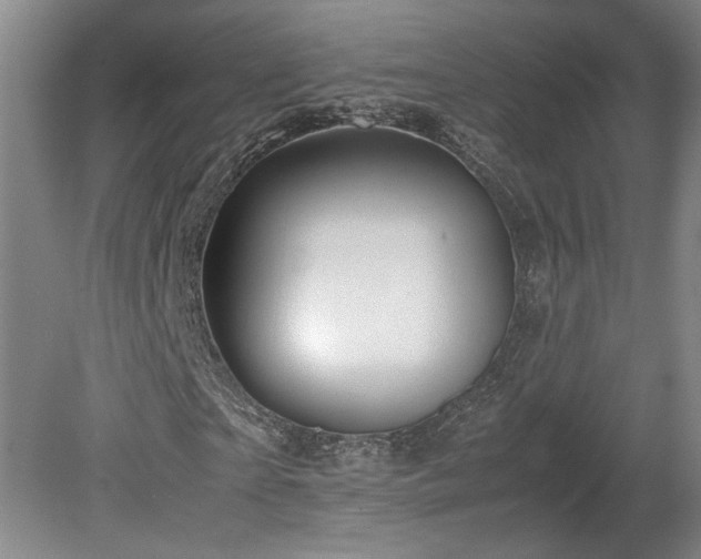 X0000078840865200611131146