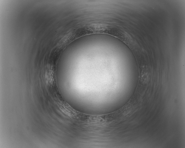 X0000078840866200611131146