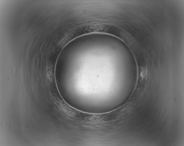 X0000078840867200611131146