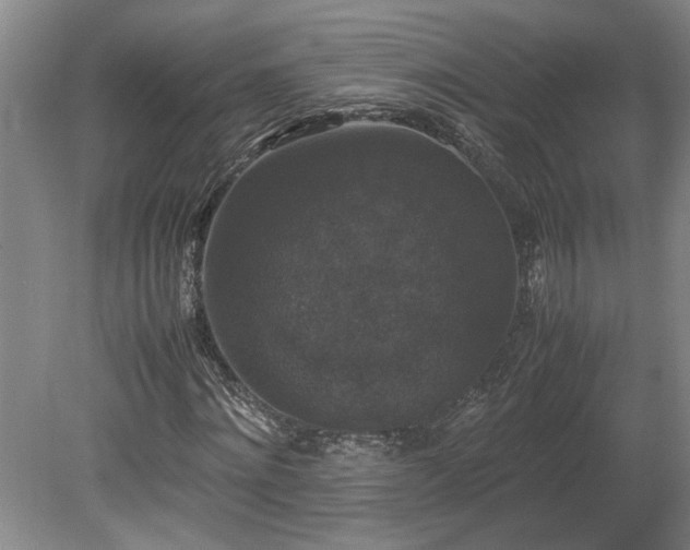 X0000078840868200611131146