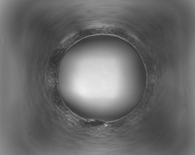 X0000078840869200611131146