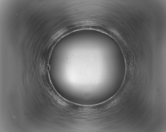 X0000078840873200611131146