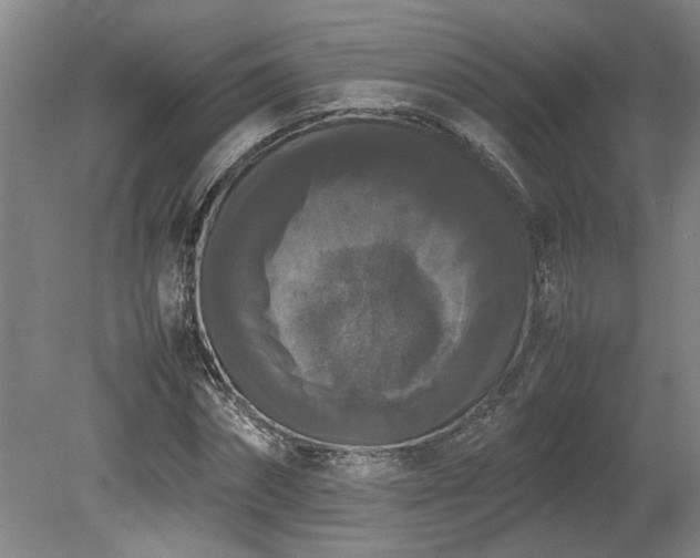 X0000078840874200611131146