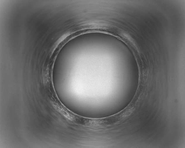 X0000078840875200611131146