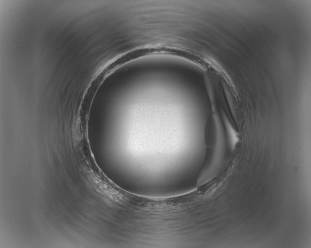 X0000078840876200611131146