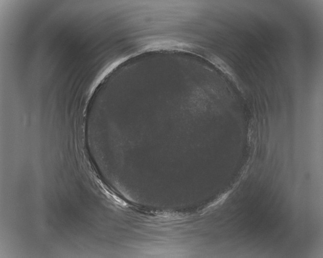 X0000078840877200611131146