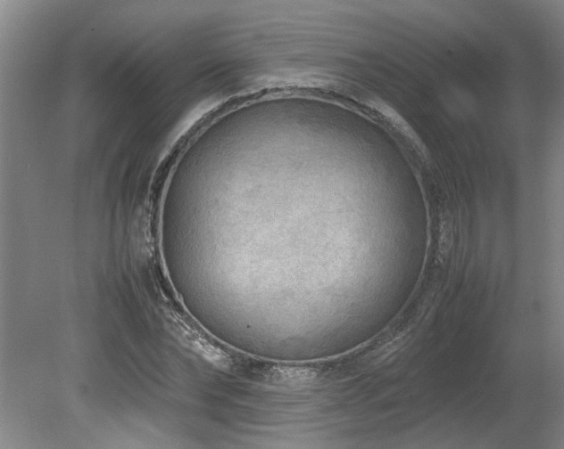 X0000078840878200611131146