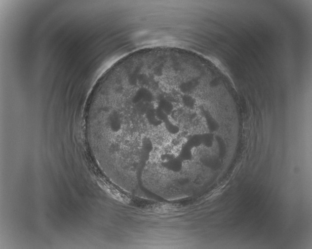 X0000078840879200611131146