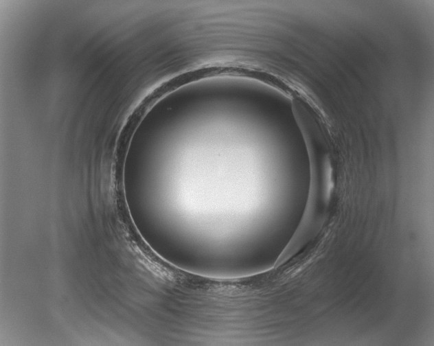 X0000078840880200611131146