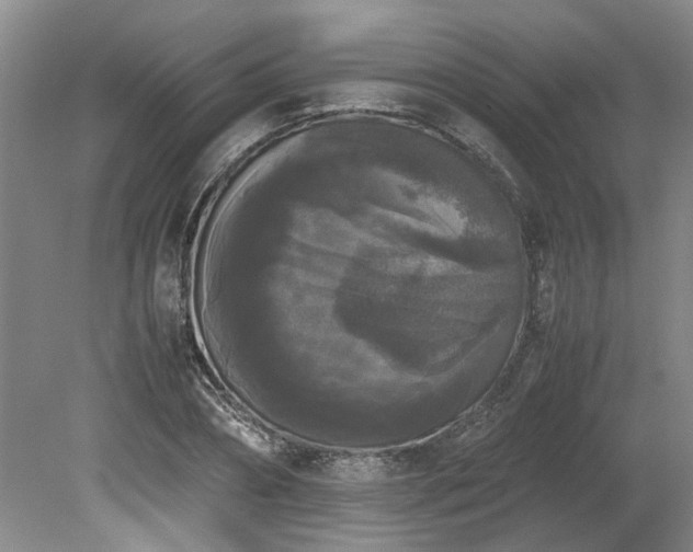 X0000078840882200611131146