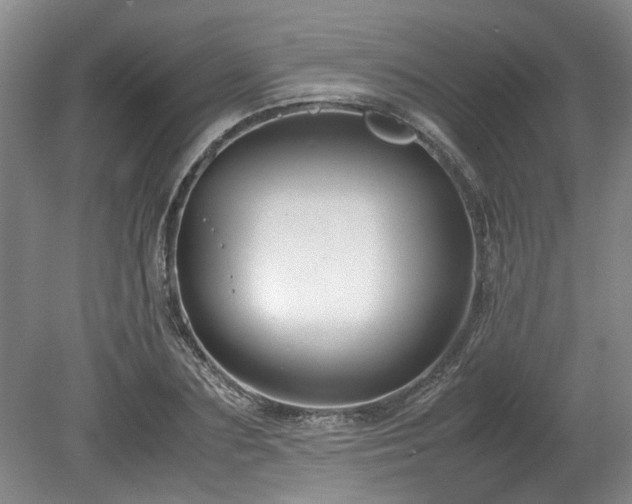 X0000078840883200611131146