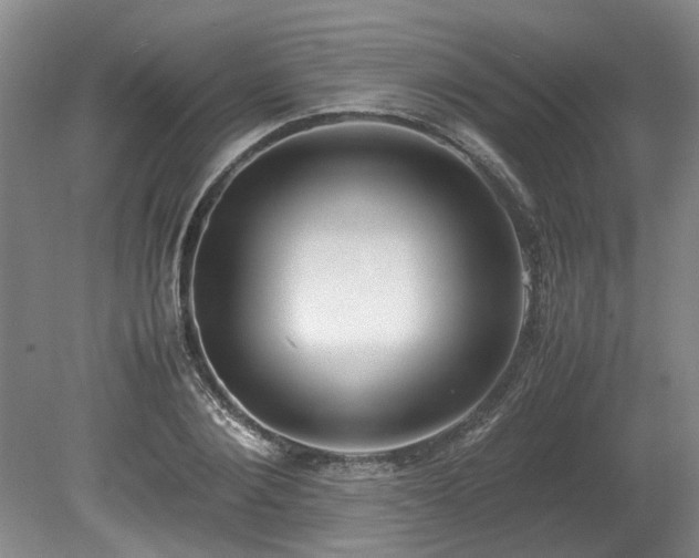 X0000078840884200611131146