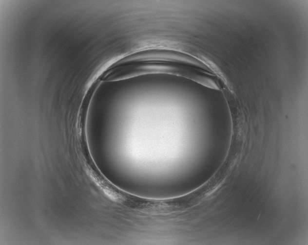 X0000078840885200611131146