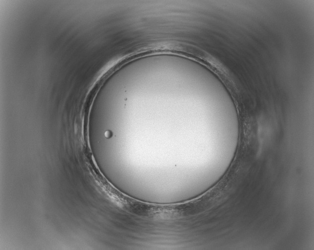 X0000078840886200611131146