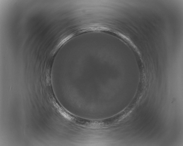 X0000078840889200611131146