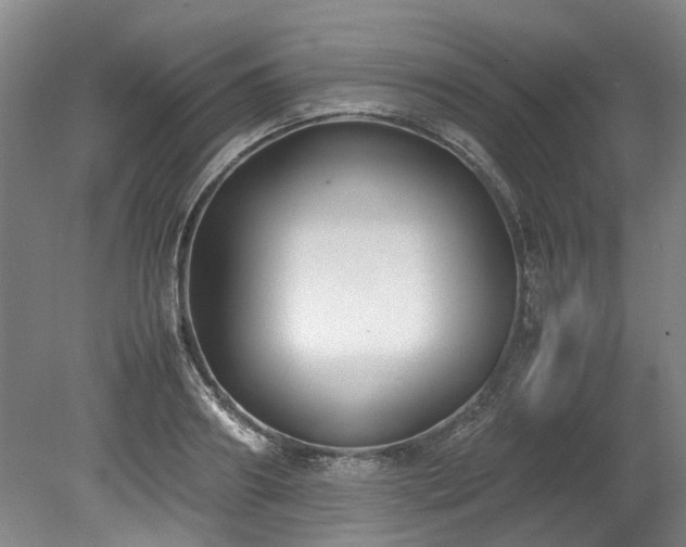 X0000078840890200611131146