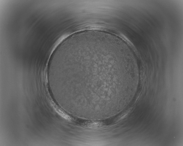 X0000078840891200611131146