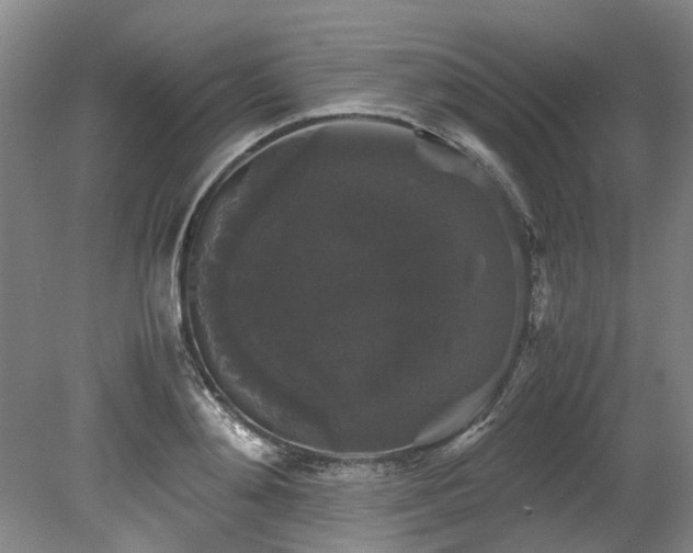 X0000078840892200611131146