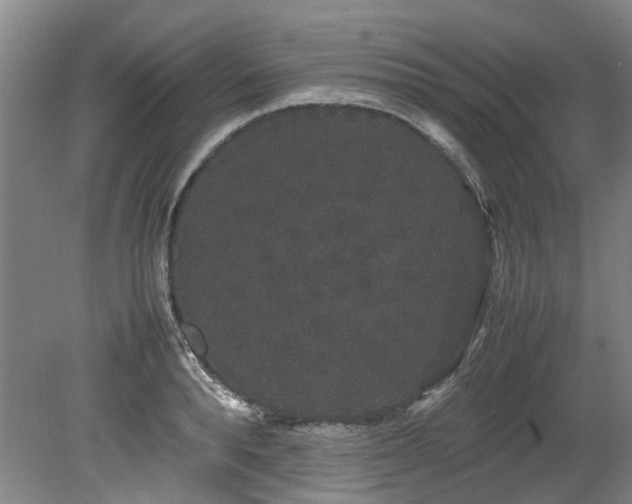 X0000078840896200611131146