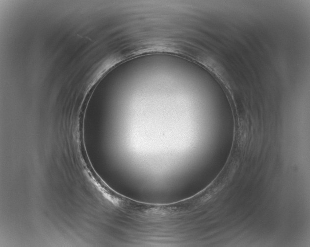 X0000078840898200611131146