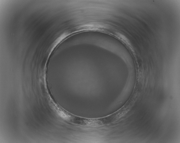 X0000078840899200611131146