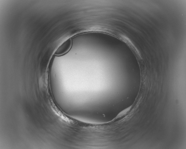 X0000078840900200611131145