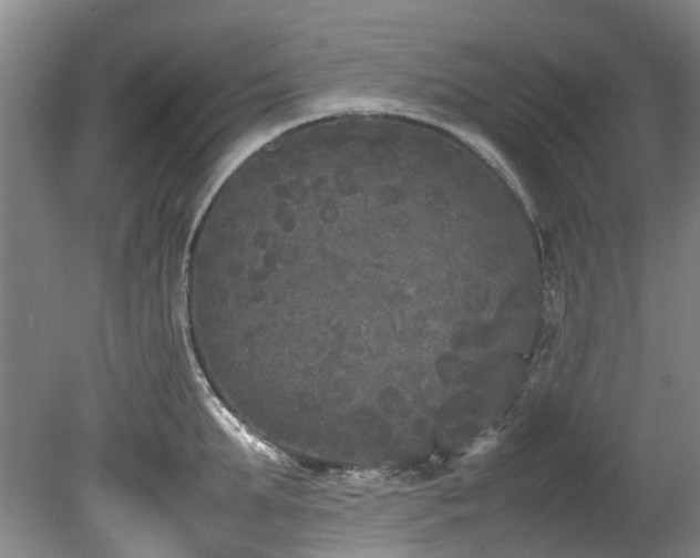 X0000078840903200611131145