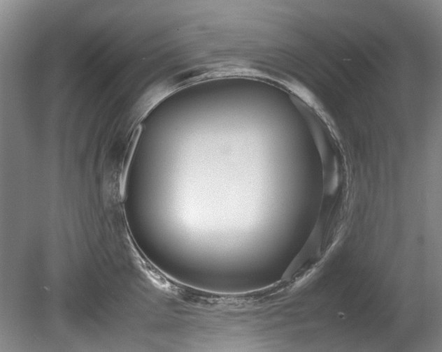 X0000078840905200611131145