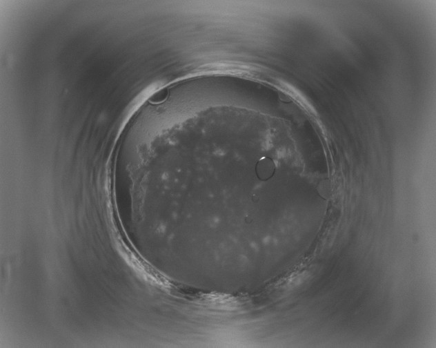 X0000078840907200611131145